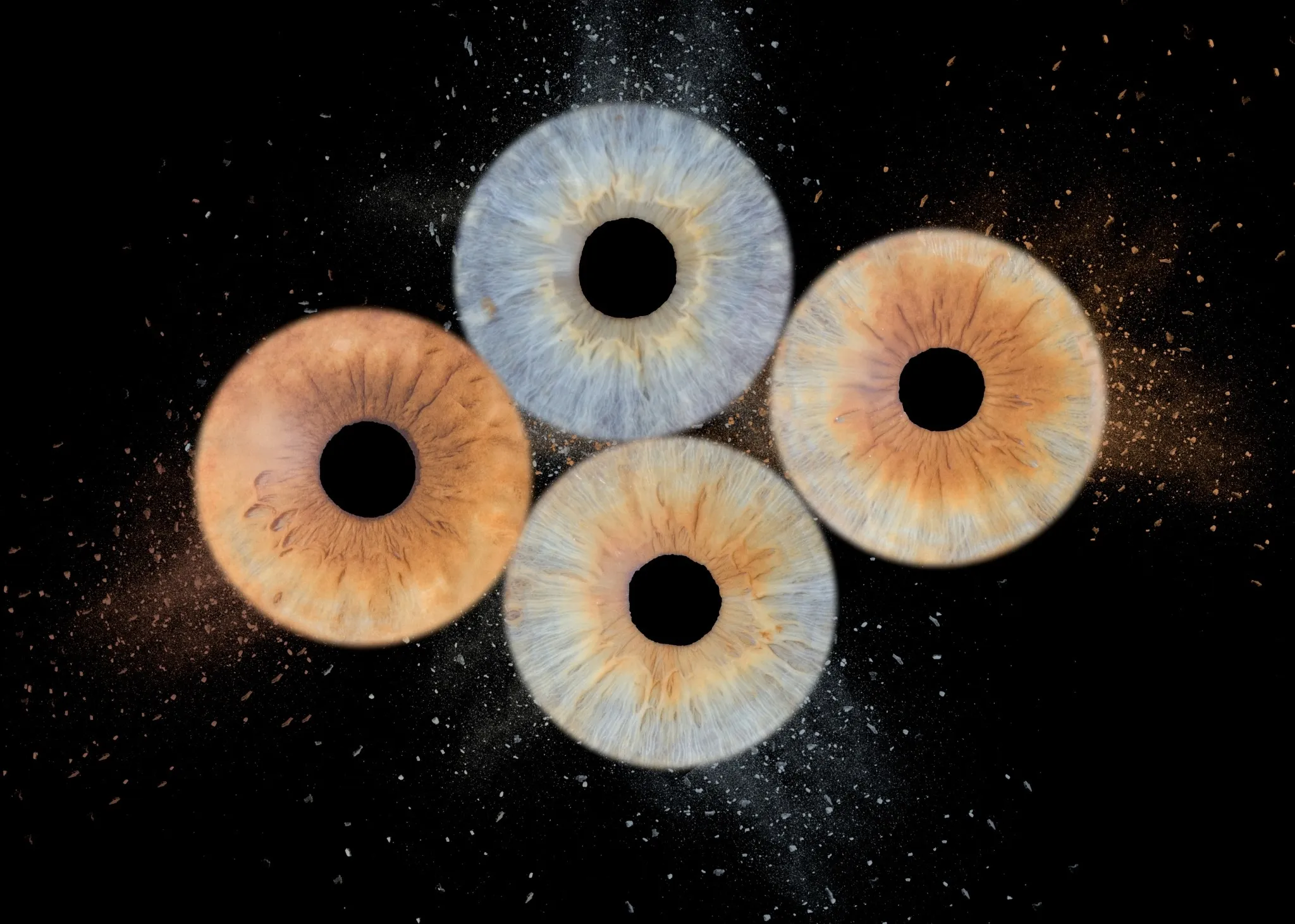 Quatre iris colorés sur fond noir étoilé.