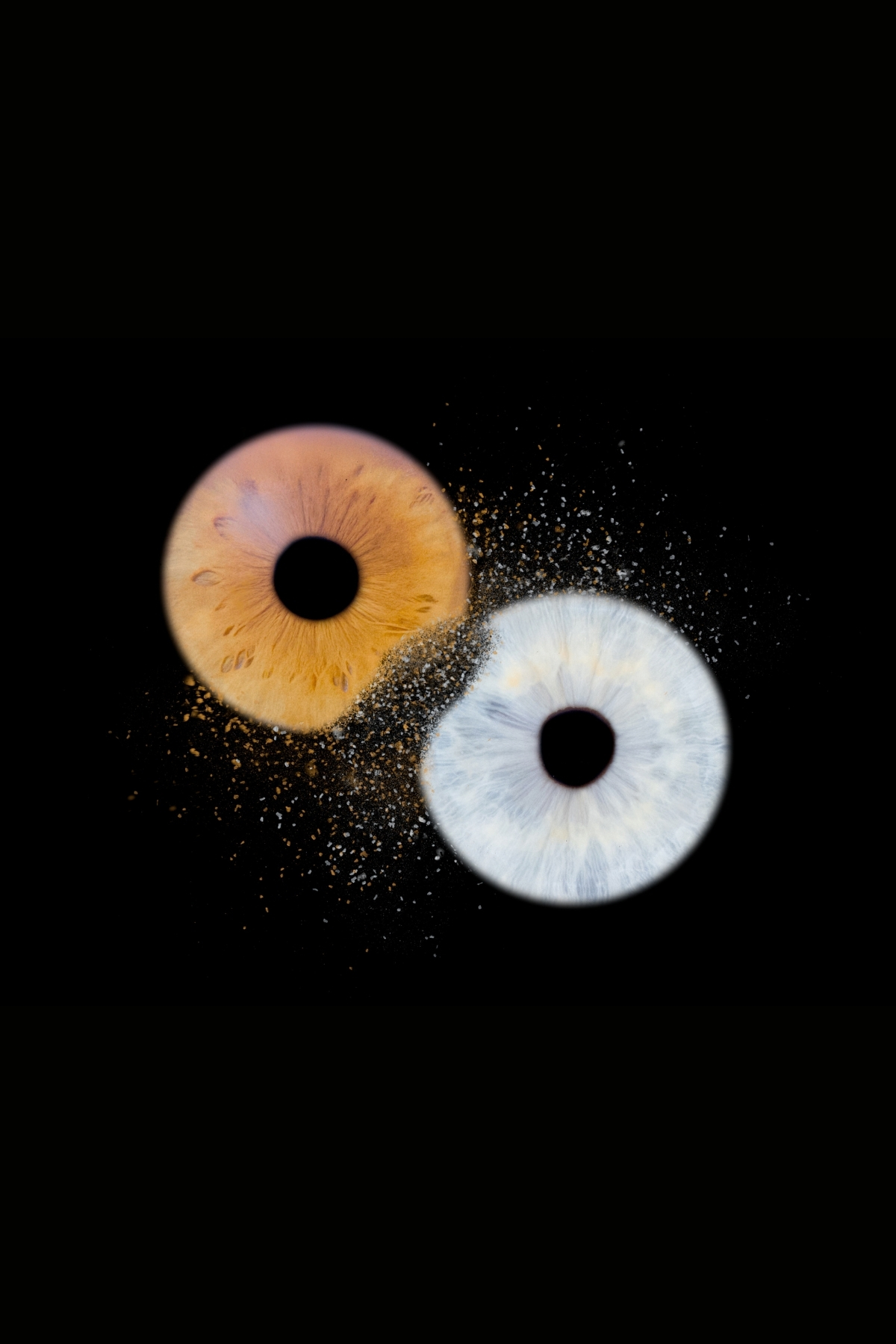 photo-iris-duo-toulouse